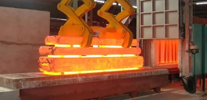 關(guān)于白蟻行為學(xué)的研究