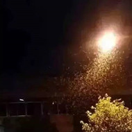 白蟻危害大，4-6月份進(jìn)入其活躍期 防治白蟻不容忽視！